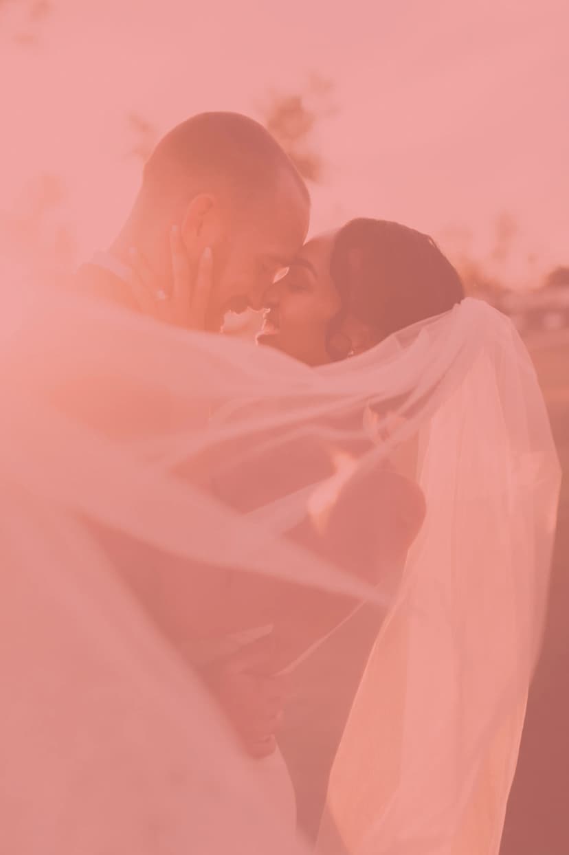 Service Wedding Planner